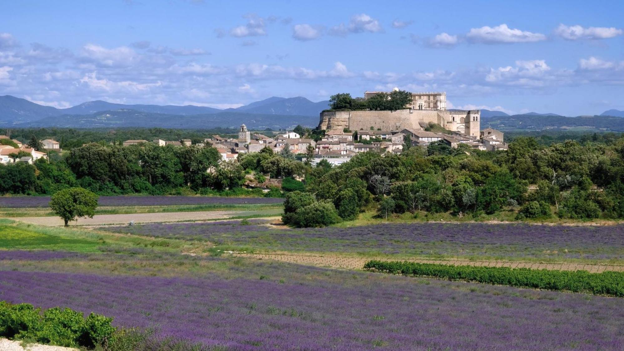 La Ferme Chapouton - Teritoria Hotel Grignan Buitenkant foto